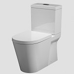wall faced toilets wall faced toilet Toilet Plumbing & Repairs